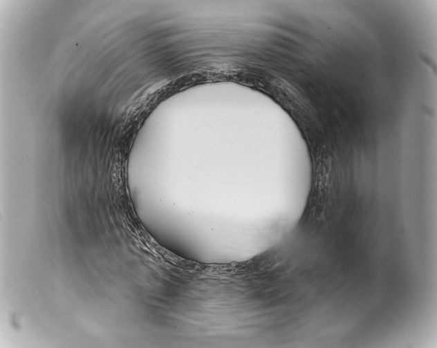 X0000099320773200805301215