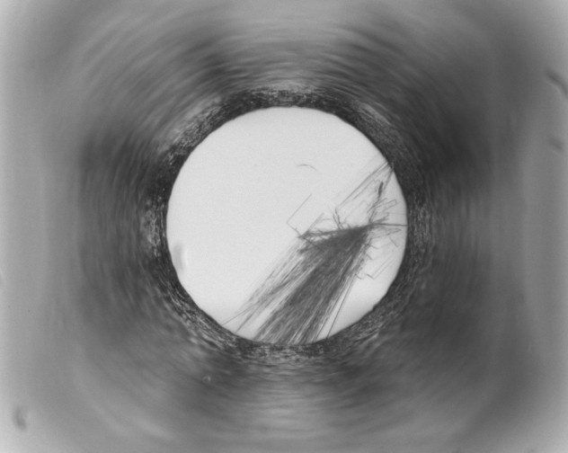 X0000099320774200805301215