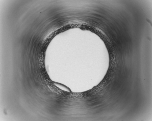 X0000099320775200805301215