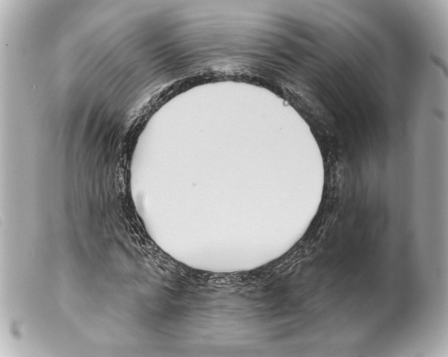 X0000099320776200805301215