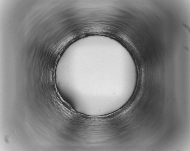 X0000099320777200805301215