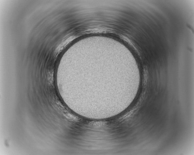 X0000099320778200805301215
