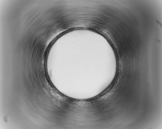 X0000099320779200805301215