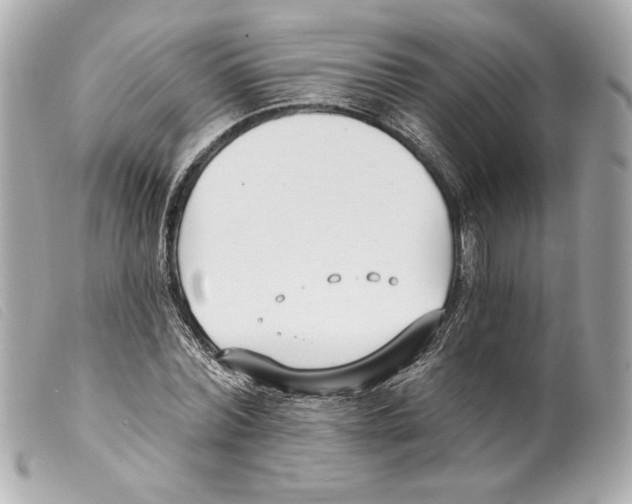 X0000099320780200805301215