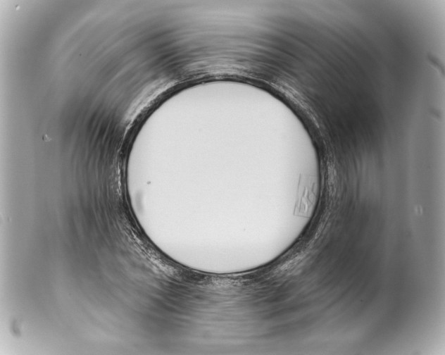 X0000099320782200805301215