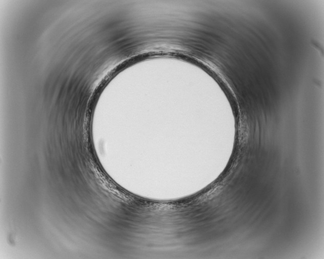 X0000099320783200805301215
