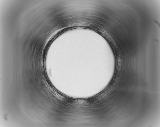 X0000099320784200805301215