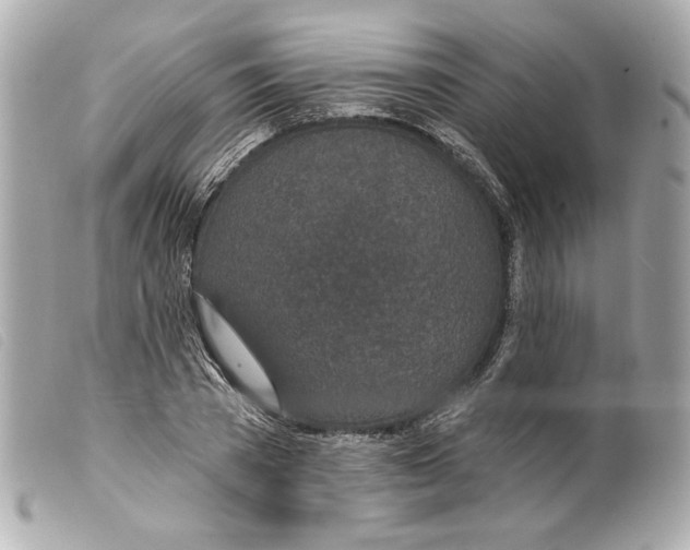 X0000099320785200805301215