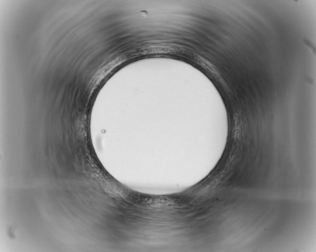 X0000099320786200805301215