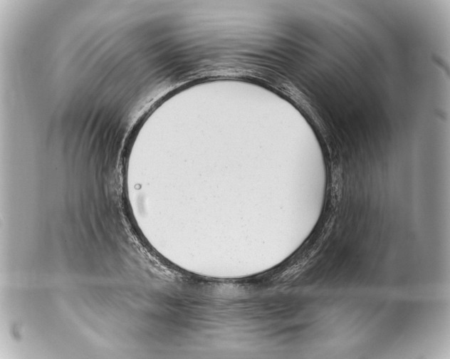 X0000099320787200805301215