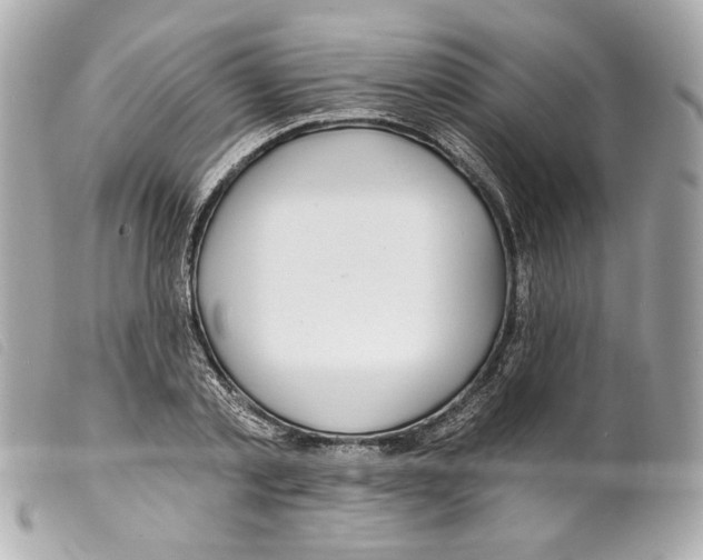 X0000099320789200805301215