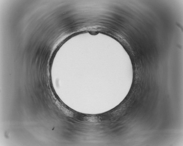X0000099320792200805301215