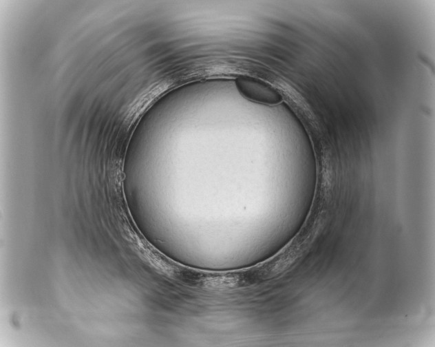 X0000099320793200805301215