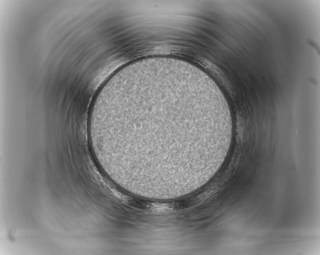 X0000099320794200805301215