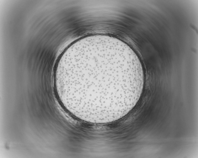 X0000099320795200805301215