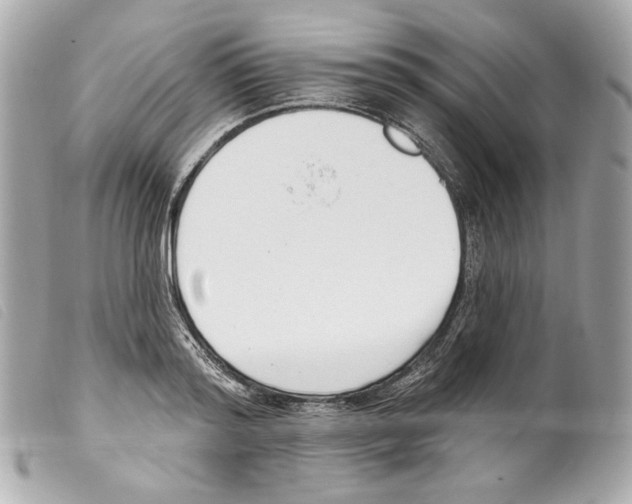 X0000099320796200805301215