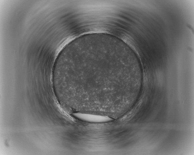 X0000099320797200805301214