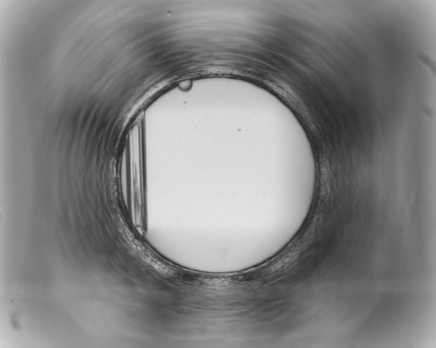 X0000099320798200805301214
