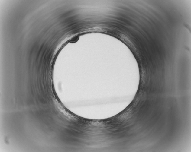 X0000099320800200805301214