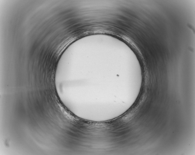X0000099320801200805301214