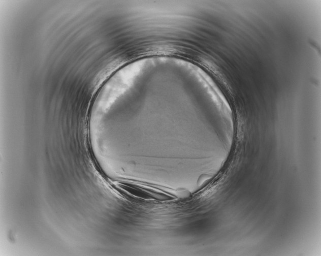 X0000099320802200805301214