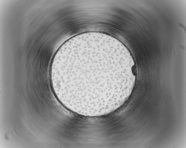 X0000099320803200805301214