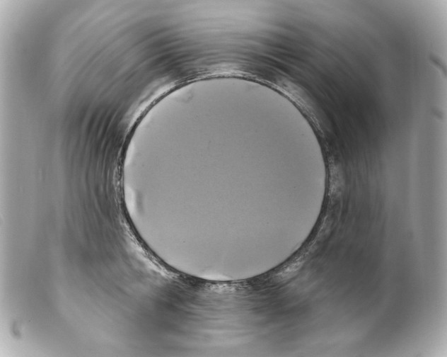 X0000099320806200805301214