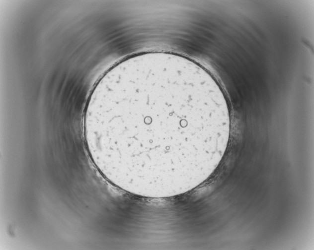 X0000099320807200805301214