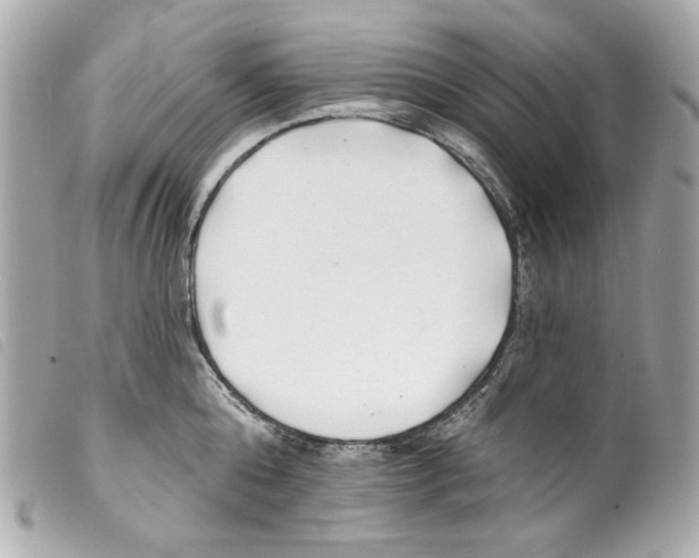 X0000099320808200805301214
