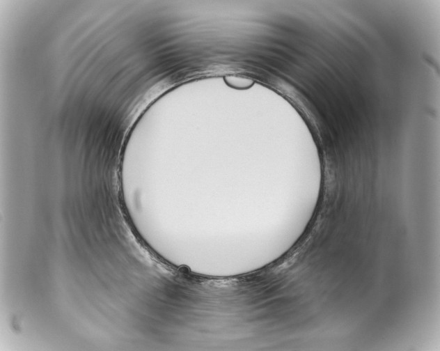 X0000099320810200805301214
