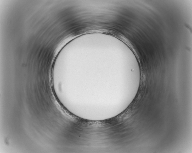X0000099320811200805301214