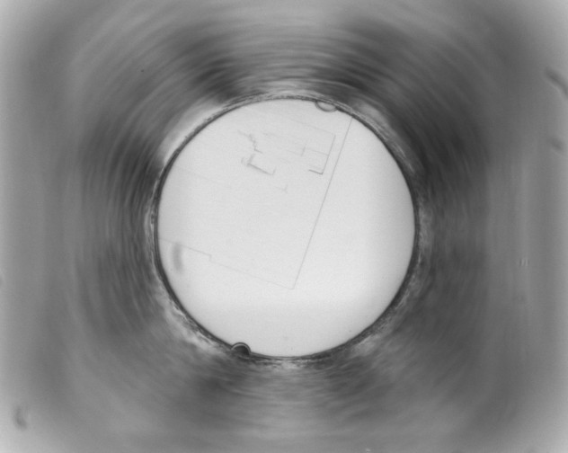 X0000099320814200805301214