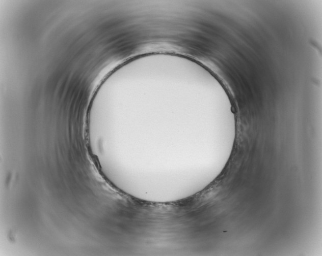 X0000099320815200805301214