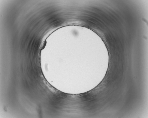 X0000099320816200805301214