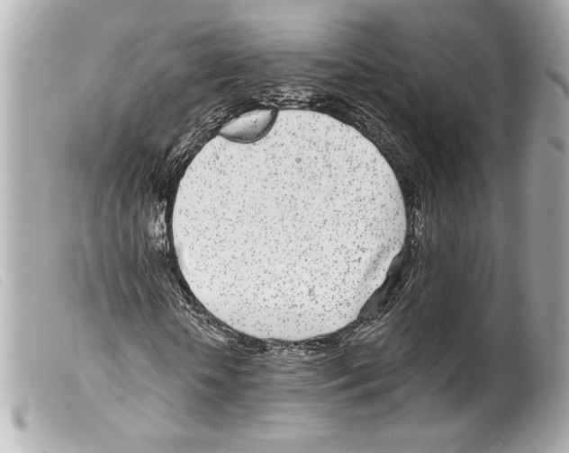 X0000099320818200805301214