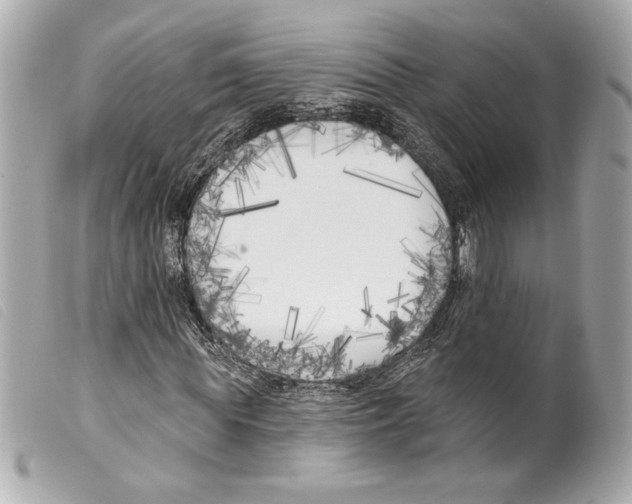 X0000099320819200805301214