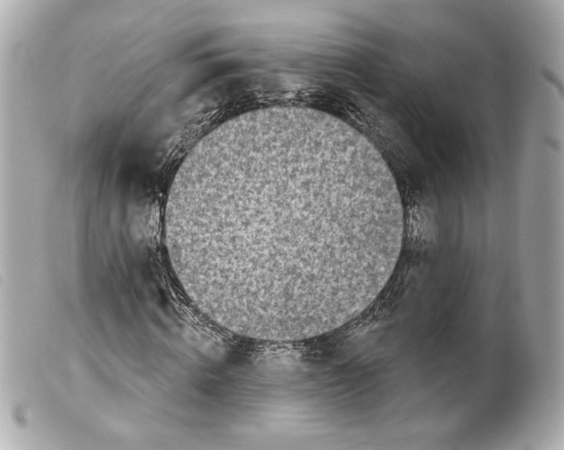 X0000099320820200805301214