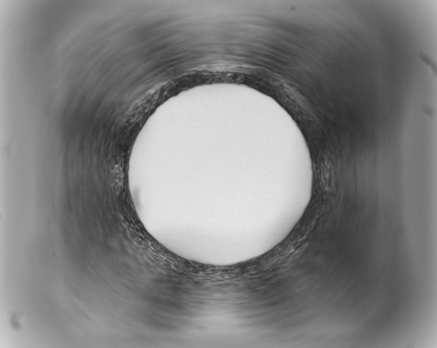 X0000099320821200805301214
