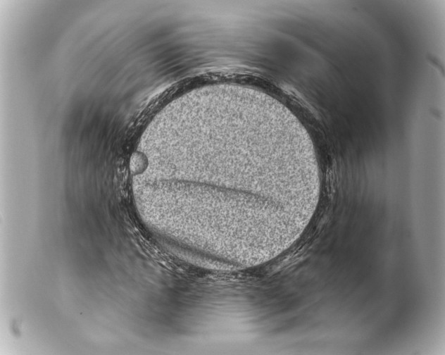 X0000099320822200805301214