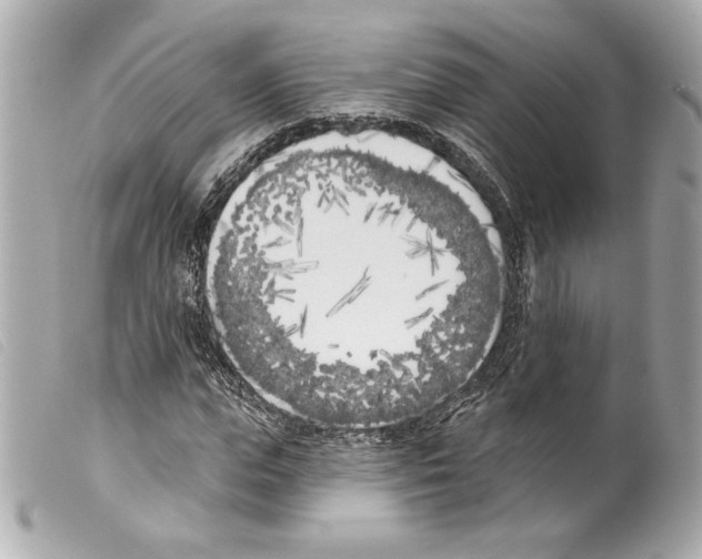X0000099320823200805301214