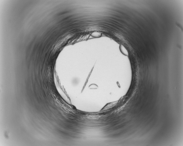 X0000099320825200805301214