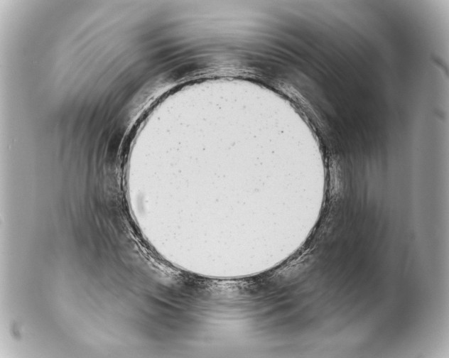 X0000099320828200805301214
