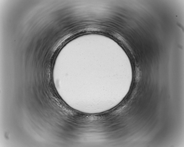 X0000099320829200805301214
