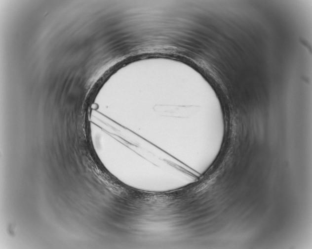 X0000099320830200805301214