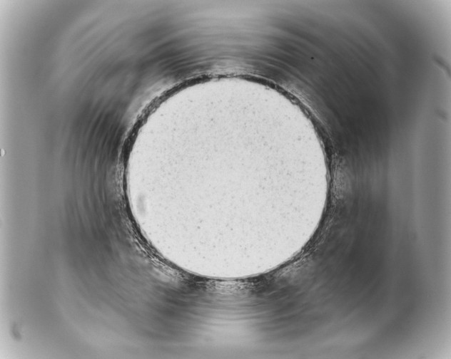 X0000099320832200805301214