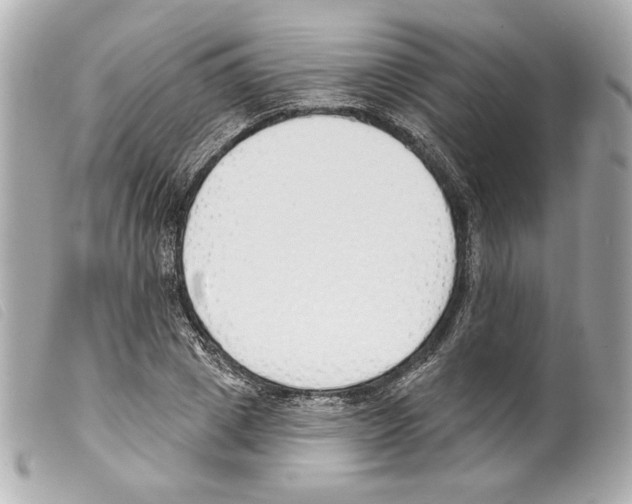 X0000099320833200805301214