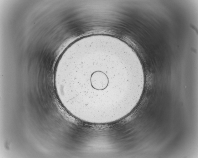 X0000099320836200805301214