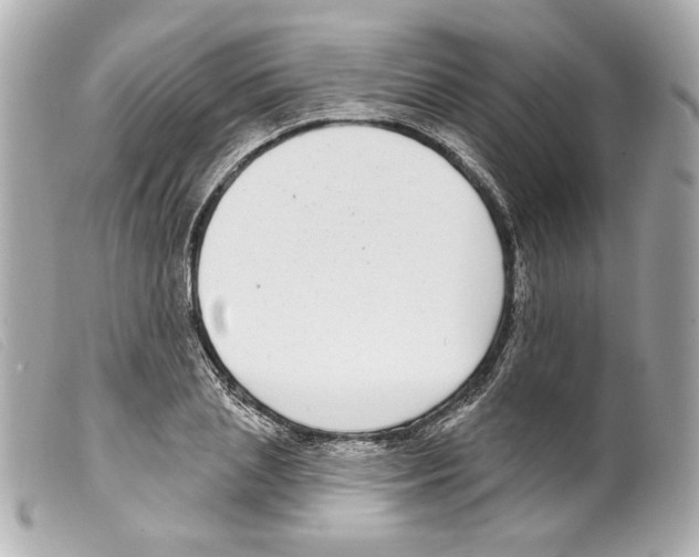 X0000099320837200805301214