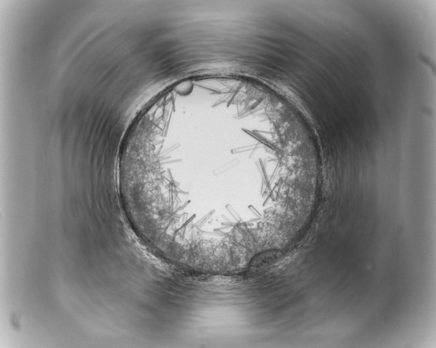 X0000099320839200805301214