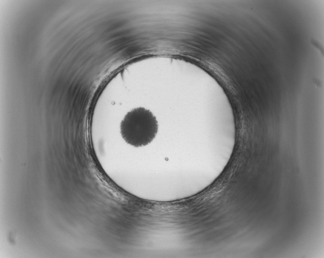 X0000099320840200805301214